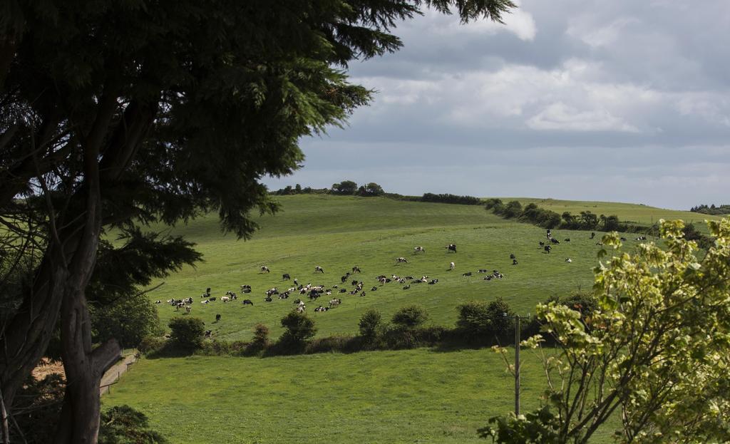 Ard Na Greine Bed and Breakfast Clonakilty Esterno foto